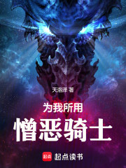 为我所用，憎恶骑士