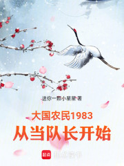 大国农民1983，从当队长开始