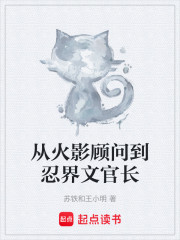 从火影顾问到忍界文官长