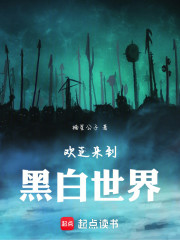 欢迎来到黑白世界