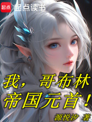 我，哥布林，帝国元首