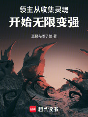 领主从收集灵魂开始无限变强