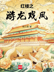 红楼之游龙戏凤
