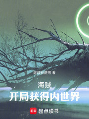 海贼：开局获得内世界