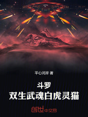 斗罗：双生武魂白虎灵猫