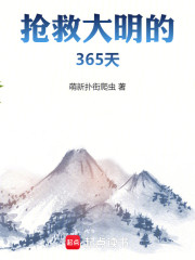 抢救大明的365天