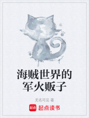 海贼世界的军火贩子