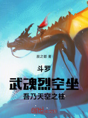斗罗：武魂烈空坐，吾乃天空之柱