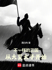 不一样的三国，从大夏太子开始
