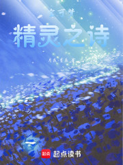 宝可梦：精灵之诗