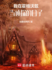 我在霍格沃茨当侦探的日子