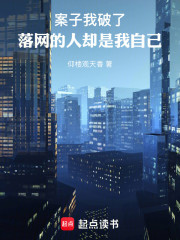 案子我破了，落网的人却是我自己