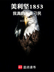 美利坚1853：我真的不是刁民