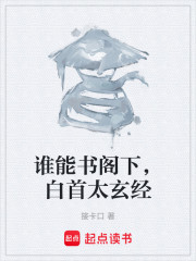 谁能书阁下，白首太玄经