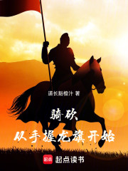 骑砍：从手握龙旗开始
