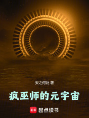 疯巫师的元宇宙