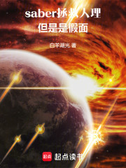 saber拯救人理，但是是假面
