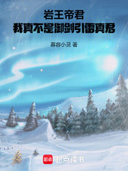 岩王帝君，我真不是御剑引雷真君