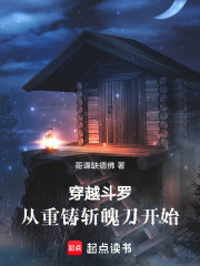 穿越斗罗：从重铸斩魄刀开始