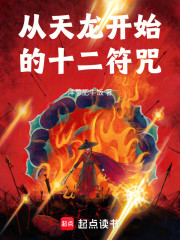 从天龙开始的十二符咒