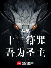 斗破，十二符咒，吾为圣主