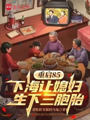 重启85：下海让媳妇生下三胞胎