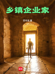乡镇企业家