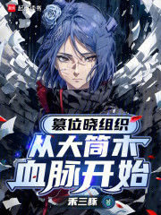 篡位晓组织，从大筒木血脉开始