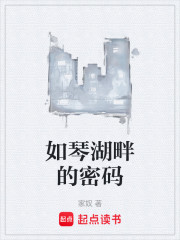 如琴湖畔的密码
