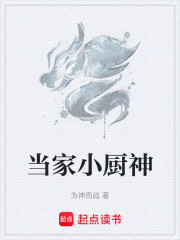 当家小厨神