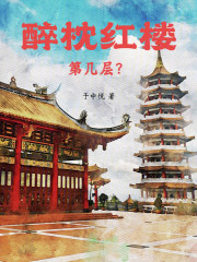 醉枕红楼第几层？