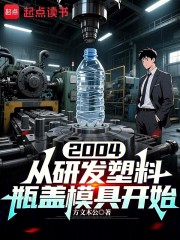 2004从研发塑料瓶盖模具开始
