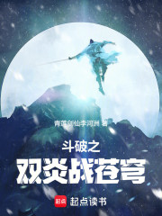 斗破之双炎战苍穹