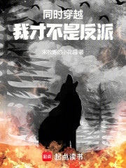 同时穿越，我才不是反派！