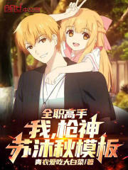 全职高手：我，枪神苏沐秋模板！