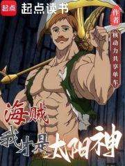 海贼：我才是太阳神