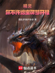精灵：你不许给宝可梦开挂！
