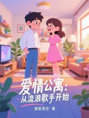 爱情公寓：从流浪歌手开始