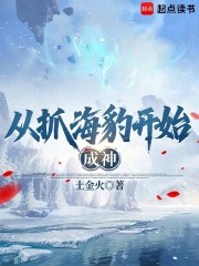 从抓海豹开始成神