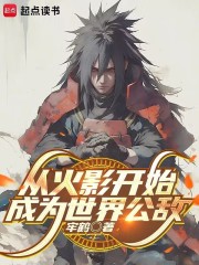 从火影开始成为世界公敌