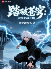 踏破苍穹：从铁手开始