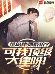 菜鸟律师系统？可我顶级大律呀！
