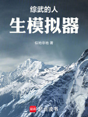 综武的人生模拟器