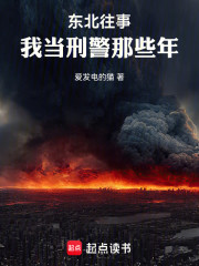 东北往事：我当刑警那些年