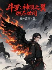 斗罗：神陨之翼，燃尽世间