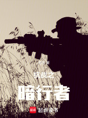 抗战之暗行者