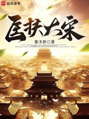 匡扶大宋