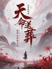 天命送葬，我同全世界为敌