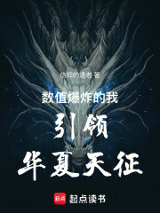 数值爆炸的我引领华夏天征
