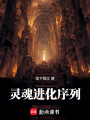 灵魂进化序列